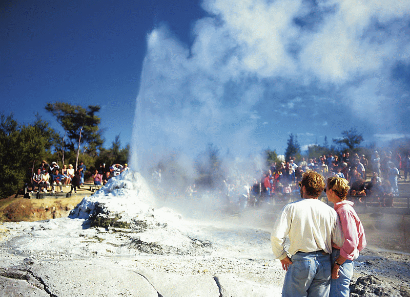 Lady Knox Geyser