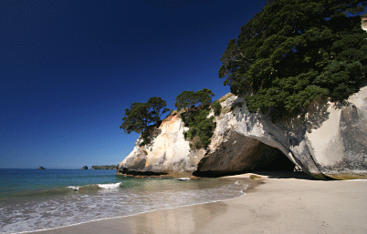 Coromandel NZ