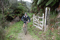 Mountains to Sea Trail