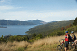 Queen Charlotte Track